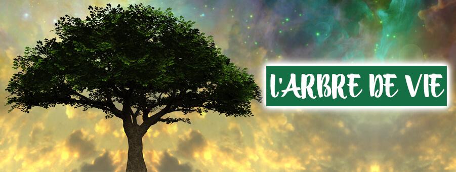 Arbre de vie : Quelles sont ses significations secrètes ? - Bois Eden