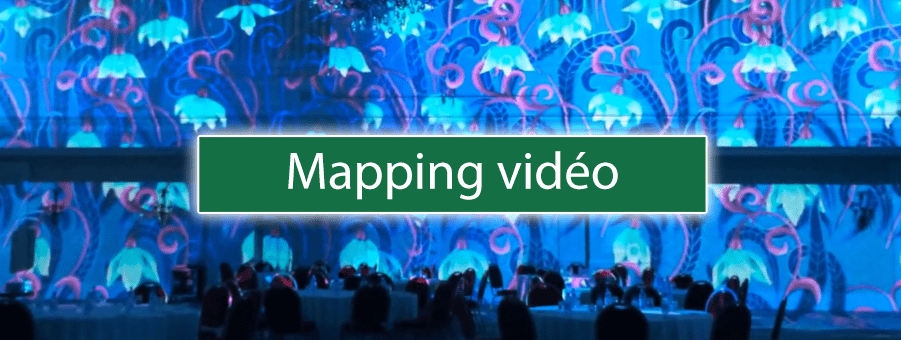 Le mapping vidéo : la nouvelle tendance qui révolutionne les mariages - Bois Eden