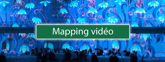 Le mapping vidéo : la nouvelle tendance qui révolutionne les mariages - Bois Eden