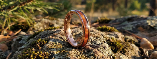 bague en bois naturel alliance fine finition brillante anneau élégant bijou artisanal nature posé sur roche ambiance forêt lumière dorée style authentique
