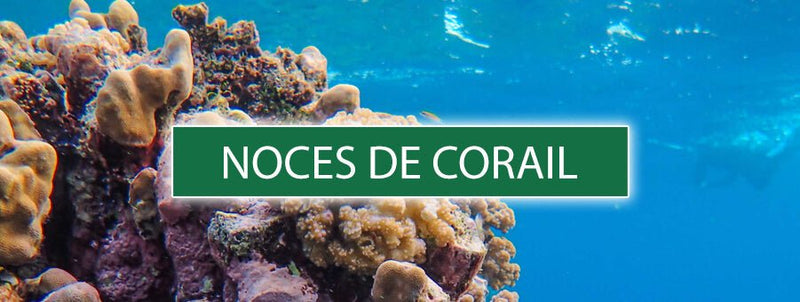 Débardeur 11 Ans De Mariage Noces De Corail – Cadeau Anniversaire De Mariage Humoristique Pour Couple