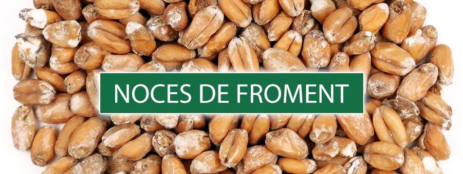 Idée Cadeau Noce De Froment Homme bois-eden.com