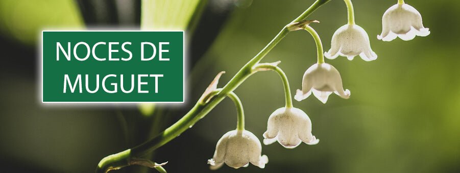 Les Noces de Muguet : 13 ans de mariage et toujours fleurissantes ! - Bois Eden