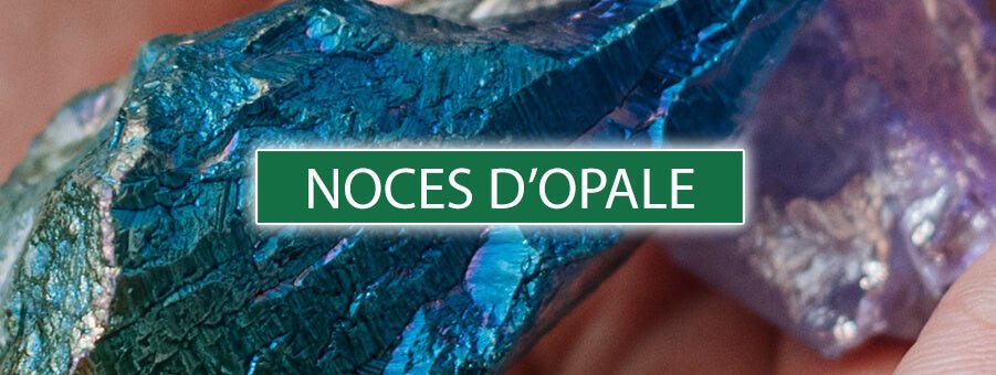 Les Noces d'Opale : 21 Ans de Mariage en Éclat et en Couleur - Bois Eden