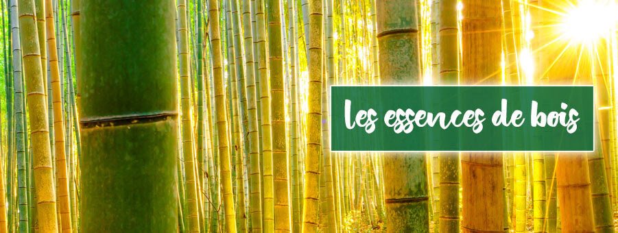 Les essences de bois - Bois Eden