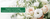 Préparer son mariage : comment bien choisir les fleurs ? - Bois Eden