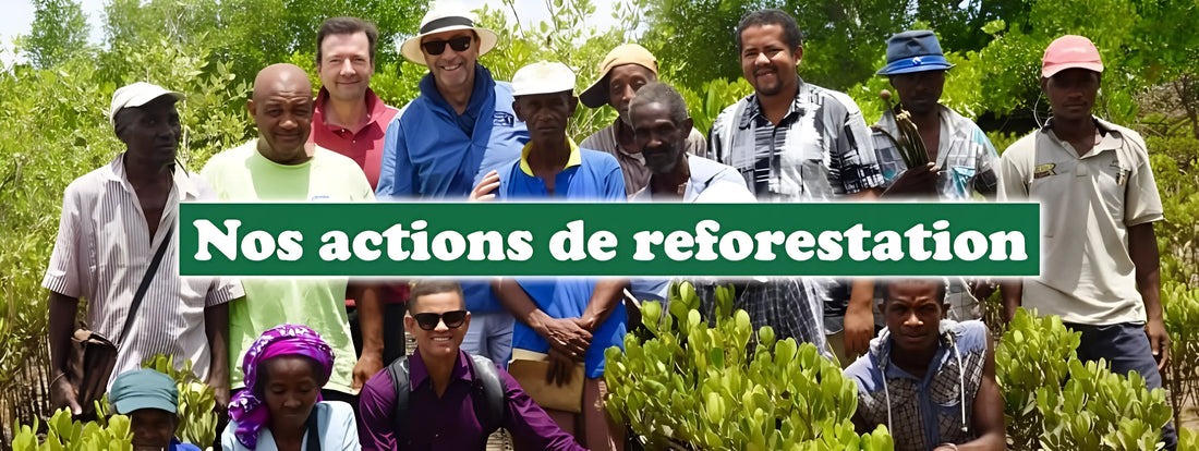 1000 Mercis – Nos actions de reforestation
